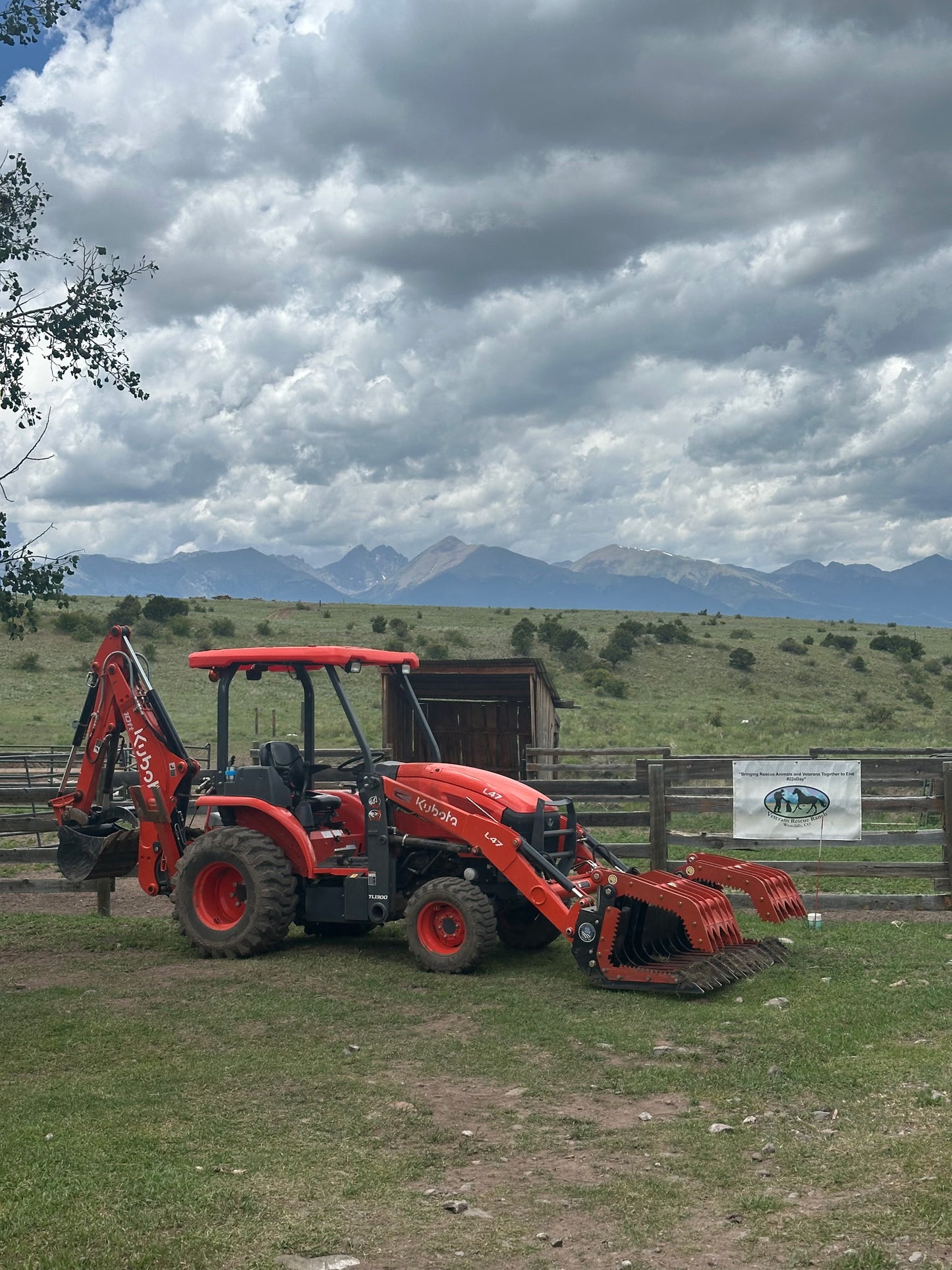 BG Series Brush / Log / Rock Grapple