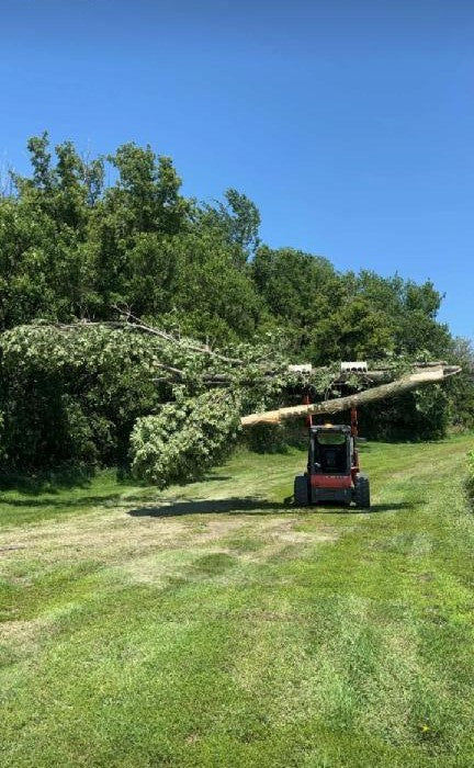 BG Series Brush / Log / Rock Grapple